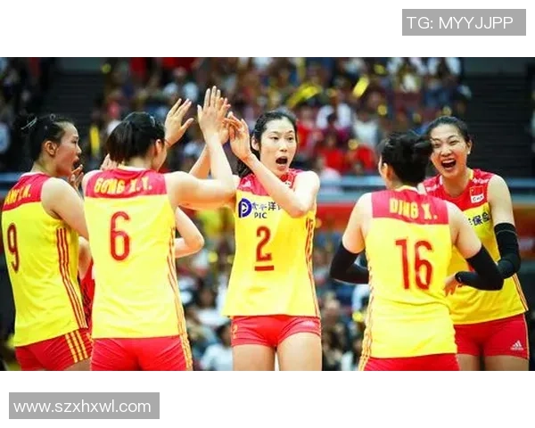 上海排球队的转型之路与未来发展展望解析 上海排球队的转型之路与未来发展展望解析