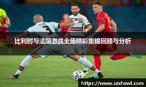 比利时与法国激战全场精彩集锦回顾与分析
